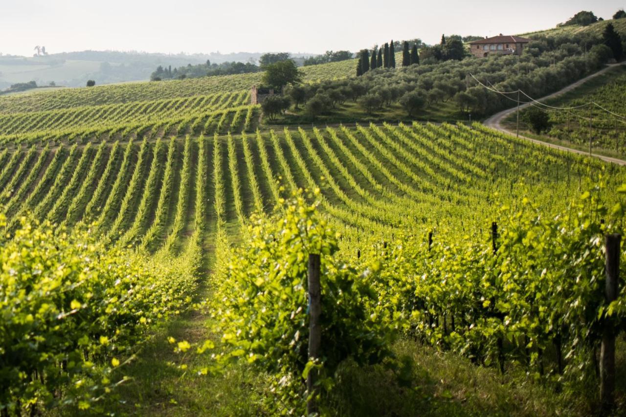 Tenuta Di Monaciano Ponte A Bozzone Exterior photo